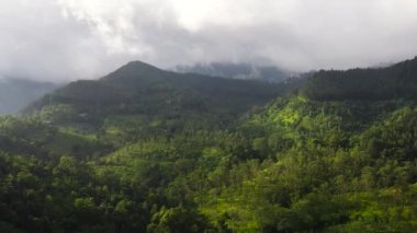 Mountain landscape: mountains with green forests and agricultural land with farm plantations. Sri Lanka.