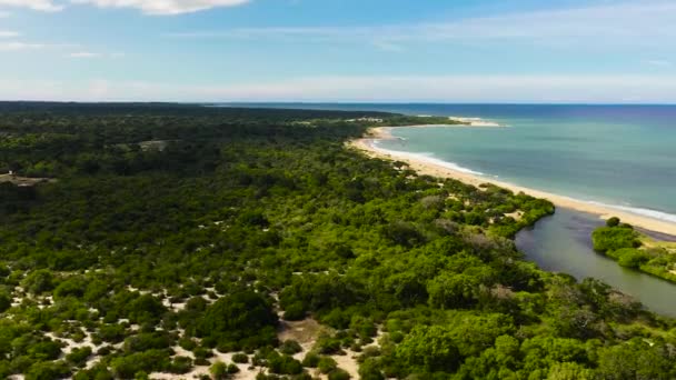 Pemandangan Atas Samudera Dengan Pantai Taman Nasional Antara Hutan — Stok Video