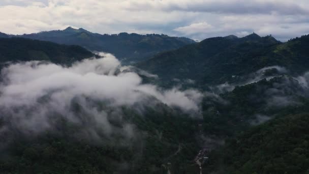 Montanhas Florestas Cobertas Nevoeiro Nuvens Entardecer — Vídeo de Stock