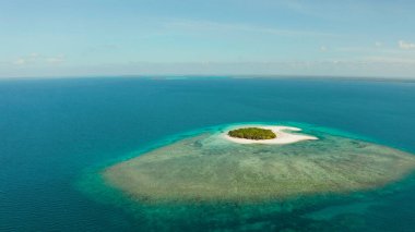 Seyahat konsepti: Mercan resiflerinin yanındaki palmiye ağaçlarıyla tropikal bir adada kumlu plaj. Kumlu Patawan adası. Yaz ve seyahat tatil konsepti.