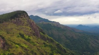 Yeşil yaprakların havadan görünüşü, tropikal bitkiler ve ağaçlar dağlar ve vadiyi kaplar. Ella Rock, Sri Lanka.
