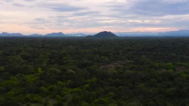 Sri Lanka 'daki tropikal ormanda günbatımının hava manzarası.