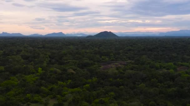 Вид Воздуха Закат Тропическом Лесу Шри Ланки — стоковое видео