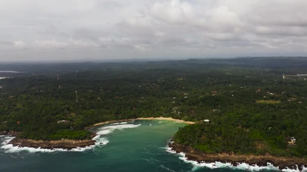 Palmiye Ağaçlarının Arasında Hiriketiya Plajı Olan Körfez Manzarası Sri Lanka — Stok video