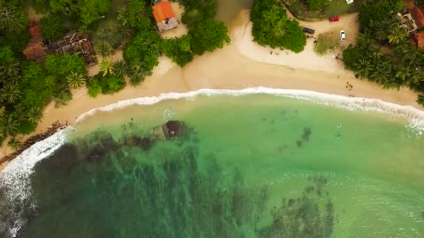 Tropisch Strand Met Palmbomen Hiriketiya Sri Lanka — Stockvideo