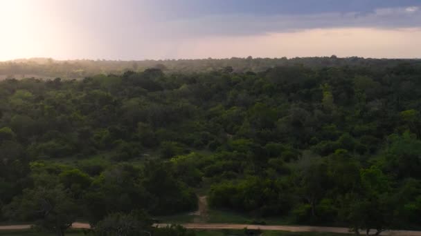 Ormanın Üzerindeki Sri Lanka Ulusal Parkında Gün Batımının Havadan Görünüşü — Stok video