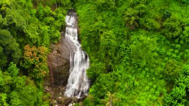Yeşil ormandaki güzel şelalenin manzarası. Dağ ormanında tropik Kirindi Şelalesi, Sri Lanka.