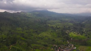 Tea plantation on top of mountain. Tea estate landscape, Sri Lanka.