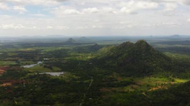 Vadideki tarlaların ve ekinlerin olduğu tarım arazilerinin en üst görüntüsü. Kırsal alan. Sri Lanka.