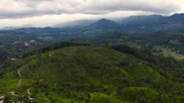 Tea plantation on the slopes of the mountains in Sri Lanka. Mountain valley with farmland.