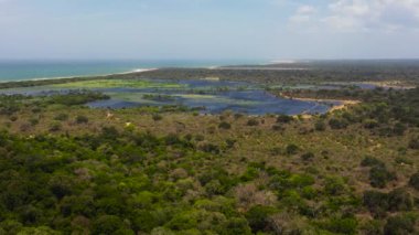 Top view of Lakes among jungles and wetlands near the ocean. Kumana National Park, Sri Lanka. Tropical landscape.