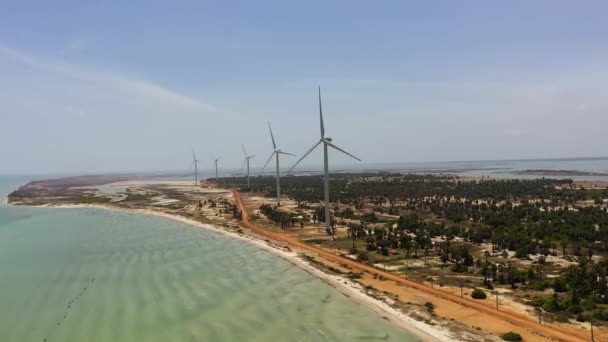 Angin Farm Dengan Turbin Angin Pantai Pembangkit Listrik Tenaga Angin — Stok Video
