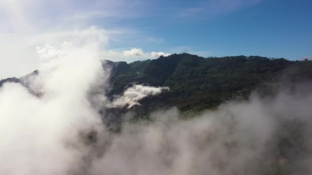 Вид Воздуха Горы Лесом Долину Сельскохозяйственными Угодьями Шри Ланка Liptons — стоковое видео