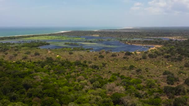 Top View Lakes Jungles Wetlands Ocean Kumana National Park Sri — Stockvideo