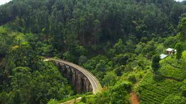Nine Arches Bridge Demodara 'nın hava görüntüsü Sri Lanka' daki ikonik köprülerden biridir. Ella kasabası.
