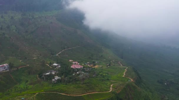 Hills Tea Plantations Mountains Tea Estate Sri Lanka — Stock Video