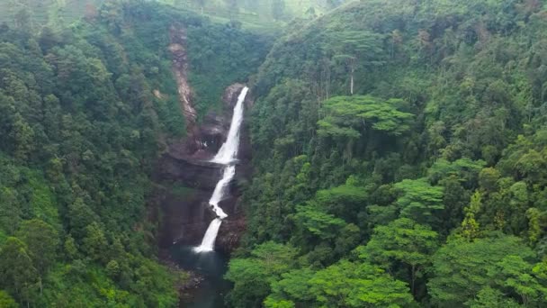 加泰莫瀑布掉进茶园湖中的俯瞰景象 Maskeliya 斯里兰卡 — 图库视频影像