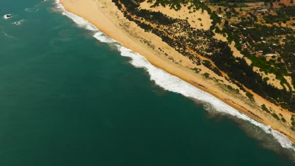 Palmiyeli Kumsal Dalgalı Deniz Sörfü Sri Lanka — Stok video