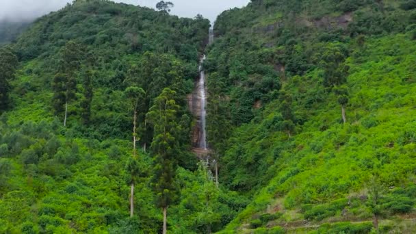 熱帯雨林の滝 スリランカ — ストック動画