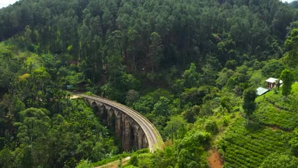 Flygfoto Över Nine Arches Bridge Demodara Ikoniska Broarna Sri Lanka — Stockvideo