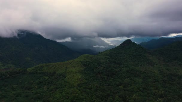 Uitzicht Van Bovenaf Tropisch Landschap Met Bergen Jungle Sri Lanka — Stockvideo