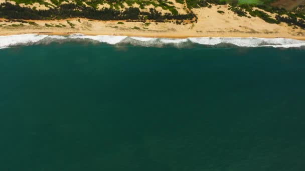 ターコイズブルーの水で美しい海の風景のビーチの空中ドローン スリランカ — ストック動画