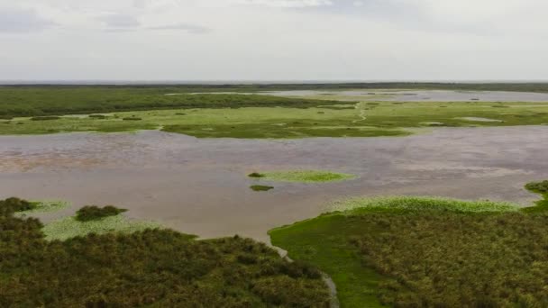 Aerial View Wetlands Lakes Tropical Vegetation Natural Habitat Animals Sri — Stockvideo