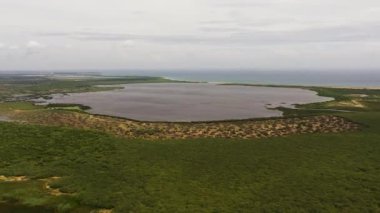 Tropikal bitki örtüsü olan sulak alanlar ve göller hayvanlar için doğal yaşam alanı. Sri Lanka.