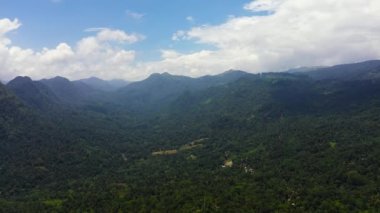 Mountains covered rainforest, trees and blue sky with clouds. Sri Lanka.