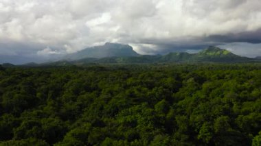 Yağmur ormanı ve ormanın havadan görünüşü. Sri Lanka.