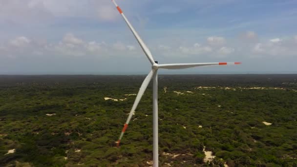 Deniz Kıyısındaki Rüzgar Türbini Güç Jeneratörleri Alternatif Yenilenebilir Enerji Mannar — Stok video