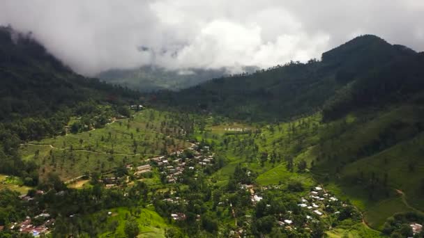 Mountains Rainforest Agricultural Land Mountainous Province Sri Lanka — Stock Video