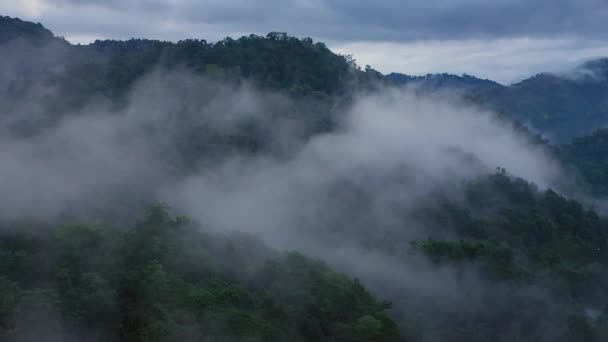Lotnicze Drony Gór Lasów Pokryte Mgłą Chmurami Zmierzchu — Wideo stockowe