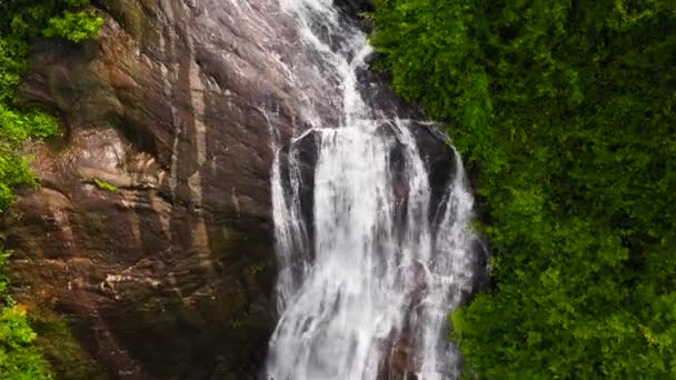 Waterval Het Groene Bos Kirindi Falls Jungle Sri Lanka — Stockvideo