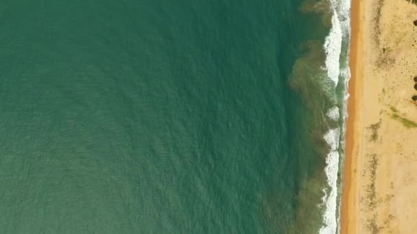 Wide Sandy Beach Ocean Surf Waves Sri Lanka — Stok video
