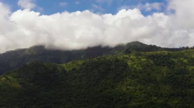 Tropik dağ sırası ve dağ yamaçlarında yağmur ormanları. Sri Lanka.