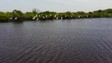 Kumana Ulusal Parkı 'nda tropikal bitki örtüsüyle göl manzarası. Sri Lanka.