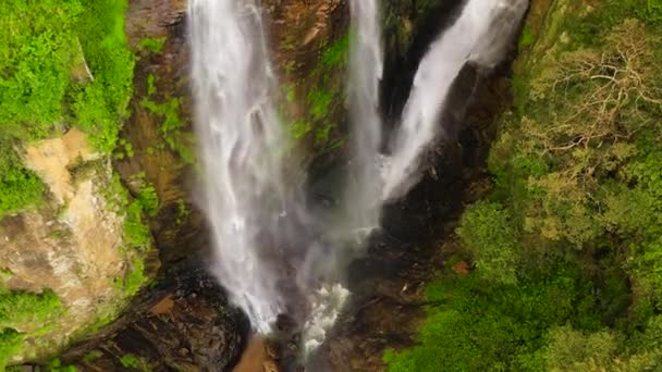 Puna Ella Falls Green Forest Waterfall Tropical Mountain Jungle Sri — 비디오