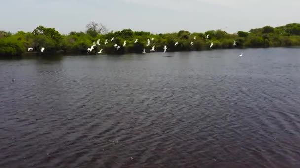 Pemandangan Udara Danau Dengan Vegetasi Tropis Taman Nasional Kumana Sri — Stok Video