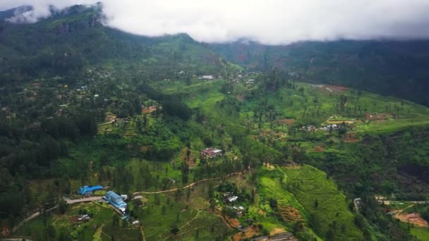 Agricultural Land Mountains Jungle Rainforest Ramboda Sri Lanka — Wideo stockowe