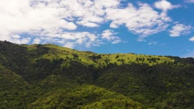 Dağların tepesindeki yağmur ormanları, ağaçlar ve bulutlu mavi gökyüzü. Sri Lanka.