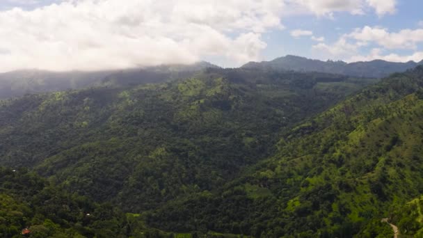 Aerial View Mountains Rainforest Jungle Mountainous Province Sri Lanka — Stockvideo