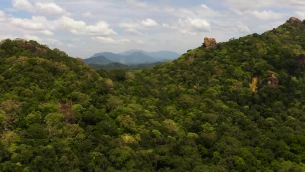 緑の森と雲と青空と山の空中ビュー スリランカ — ストック動画