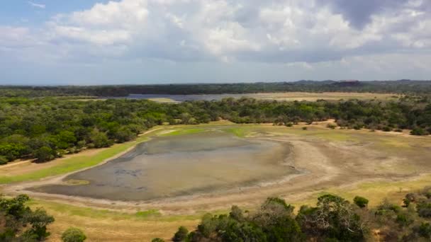 斯里兰卡库马纳国家公园湖泊和沼泽干涸的头像 — 图库视频影像