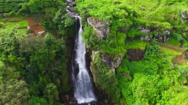 Waterfall among tea plantations. Ramboda Falls, Sri Lanka.