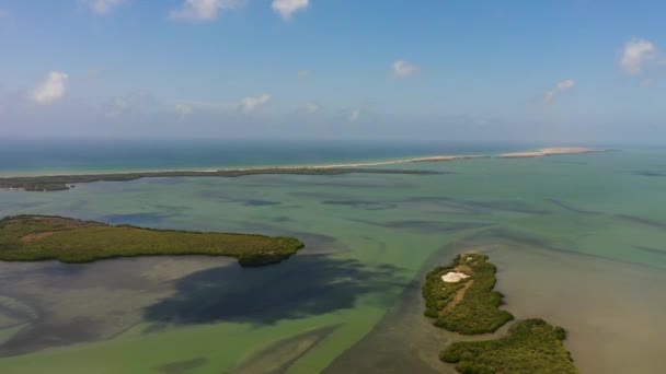 Vista Superior Las Islas Con Vegetación Tropical Mar Azul Paisaje — Vídeo de stock