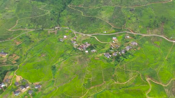 Tea Estate Landscape Sri Lanka Landscape Green Fields Tea — Vídeos de Stock