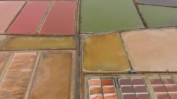 蒸発による海水からの塩の抽出 塩の農場プール付き スリランカ — ストック動画
