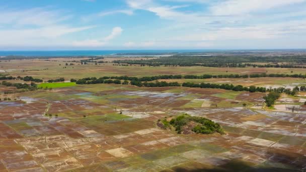 Luchtfoto Van Landbouwgrond Jungle Tegen Blauwe Lucht Wolken Sri Lanka — Stockvideo