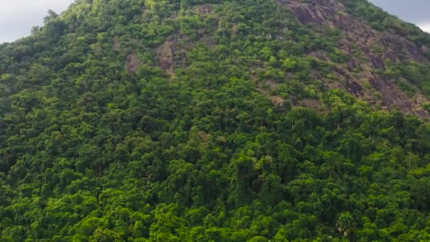 Mountain Peak Covered Forest Mountains Covered Rainforest Trees Sri Lanka — Stockvideo